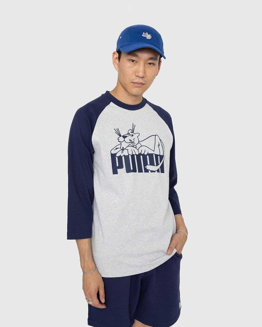 T-Shirts | Puma Raglan Langaermet Gra
